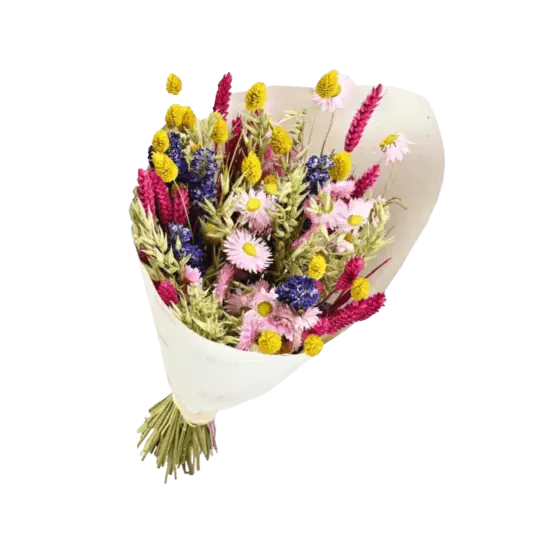 Bouquet Dandy Color