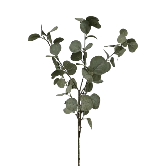 Eucalyptus - Vert/Bleu