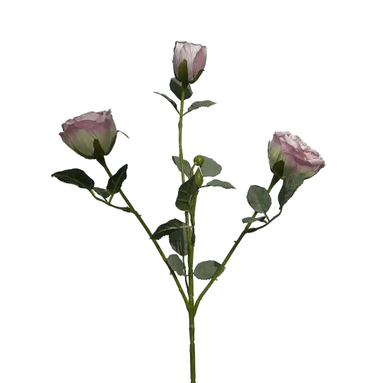 Tige de Rose 3 boutons - Bicolor