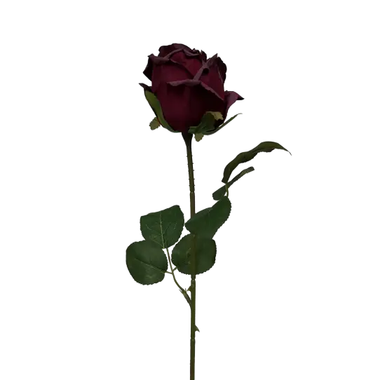 Tige de Rose - Rouge profond
