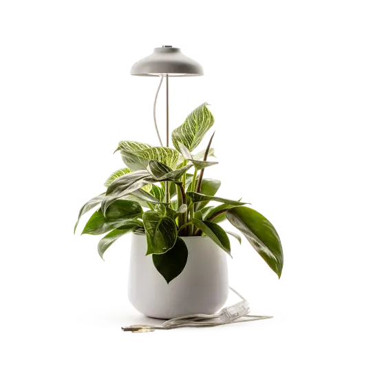 Lampe Horticole blanc