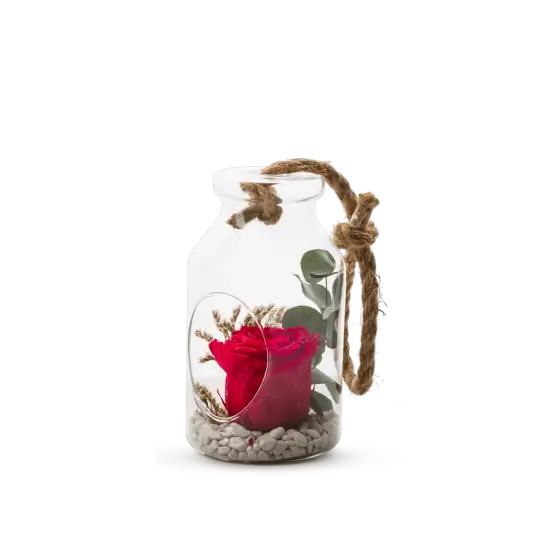 Bottle S - Rose rouge et eucalyptus