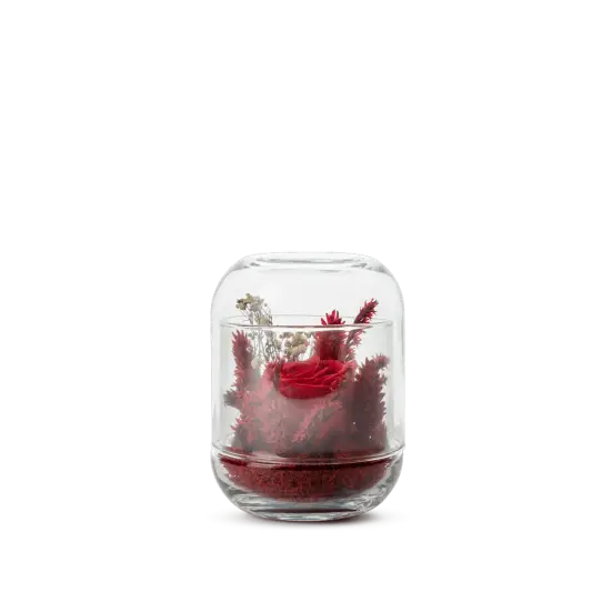 Capsule Rouge