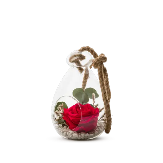 Globe - Rose rouge et eucalyptus