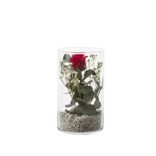 Tube S - Rose rouge et eucalyptus