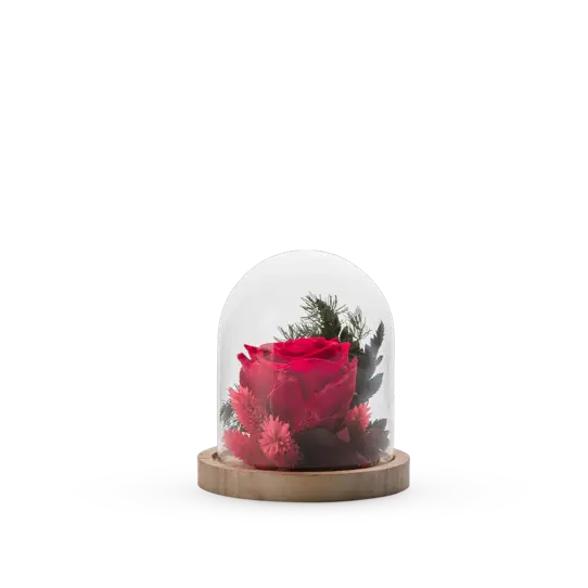 Cloche Stab S Mix - Rouge
