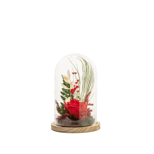 Cloche Stab M Mix - Rouge