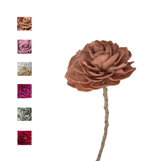 Sola Dalia tige de coco - MIX COULEUR