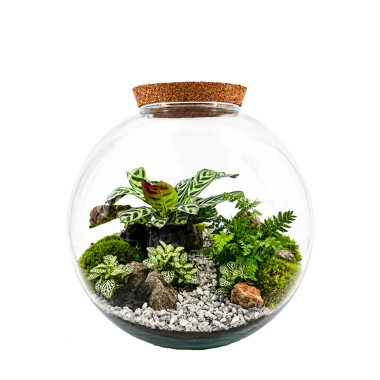 Hortus Atelier