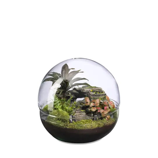 Mini monde L Landscape