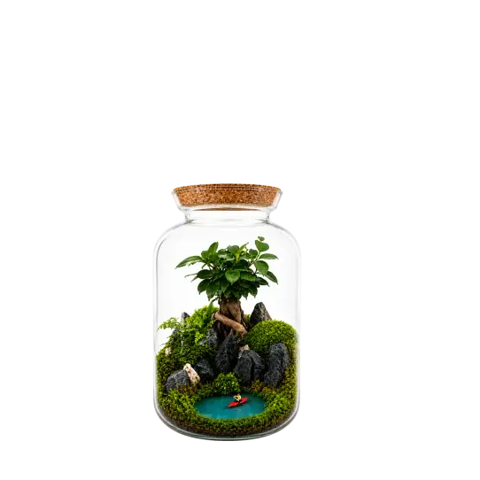 Bonbonne S Eden