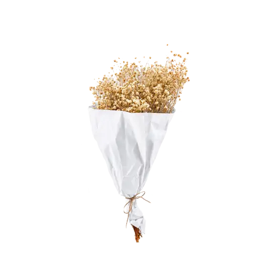 Botte Gypsophile naturel