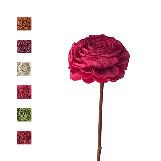 Sola Beauty Rose tige de coco - MIX COULEUR