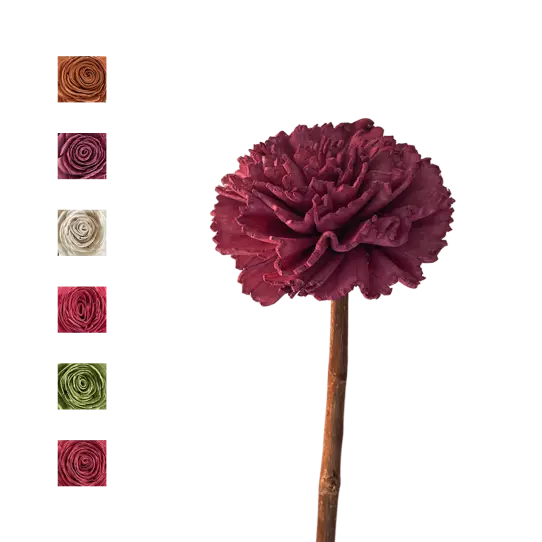 Sola Carnation tige de coco - MIX COULEUR