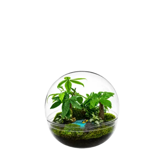 Mini Monde L Eden