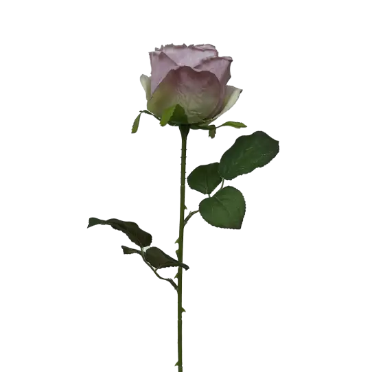 Tige de Rose - Pourpre Clair