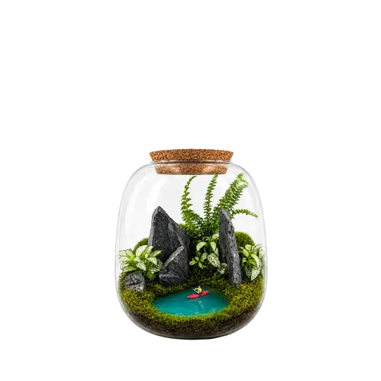 Moly M Eden