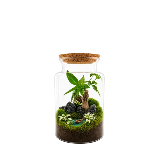 Jungle M Eden