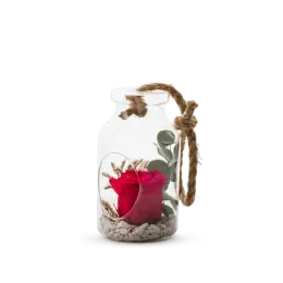 Bottle S - Rose rouge et eucalyptus