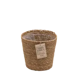CACHE POT - Gaby H23