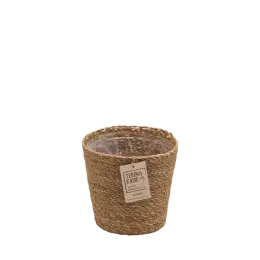 CACHE POT - Gaby H16