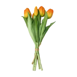 Bouquet de tulipe - Orange