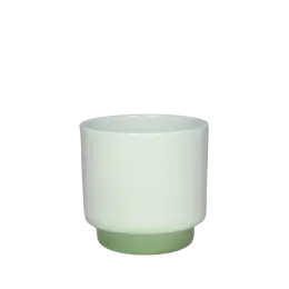 CACHE POT MALO - Bicolor blanc/vert