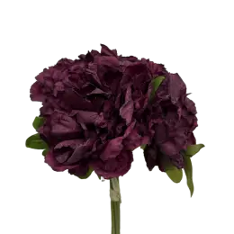 Bouquet de pivoine - Fushia