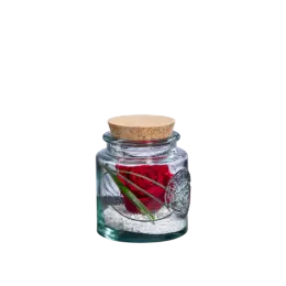 Authentic L - Bouchon liège