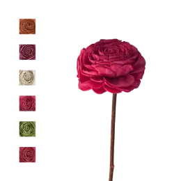 Sola Beauty Rose tige de coco - MIX COULEUR