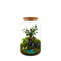 Bonbonne M Eden