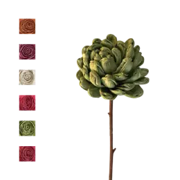 Sola Gardenia tige de coco - MIX COULEUR