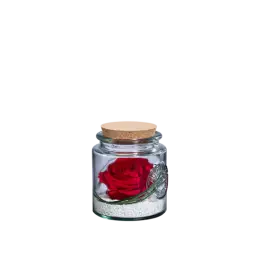 Authentic M - Bouchon liège