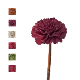 Sola Carnation tige de coco - MIX COULEUR