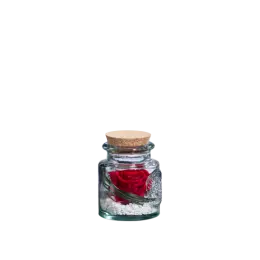 Authentic S - Bouchon liège