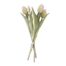 Bouquet de tulipe - Blanc
