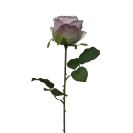 Tige de Rose - Pourpre Clair