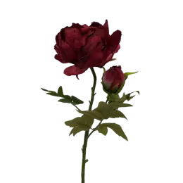 Tige de Pivoine - Rouge